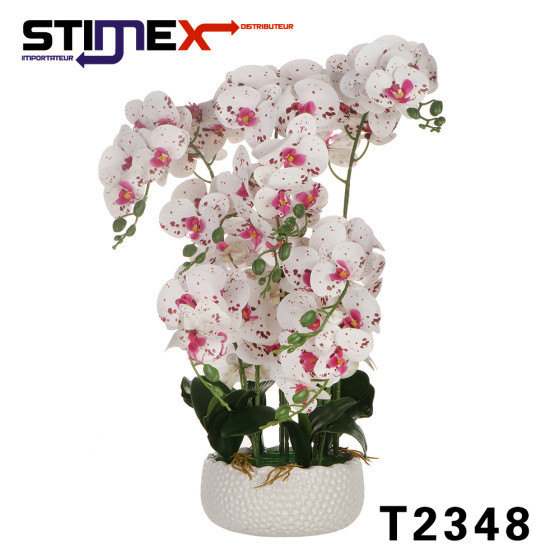 POT ORCHIDEE 70CM 3 VCOULEURS