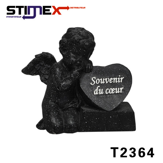 ANGE NOIR SOUVENIR DE COEUR...