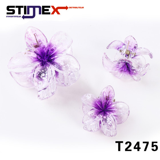 SET 12 PINCE ORCHIDEES...