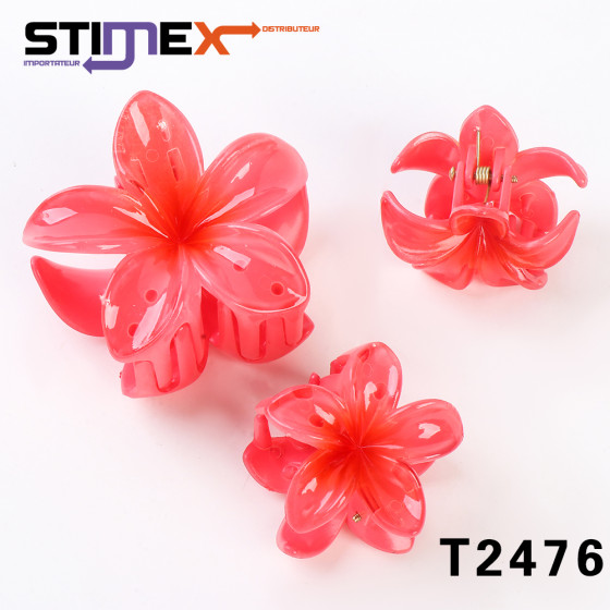 SET 12 PINCE ORCHIDEES...