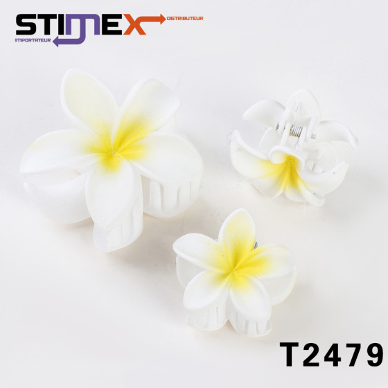 SET 12 PINCE ORCHIDEES REEL...