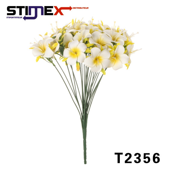 BOITE 12 BQT FRANGIPANIER 