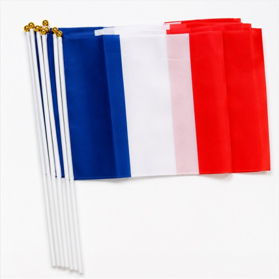 DRAPEAU FRANCAIS EN SACHET...